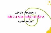 Bài 7.3 SGK Toán 10 tập 2 Kết nối tri thức